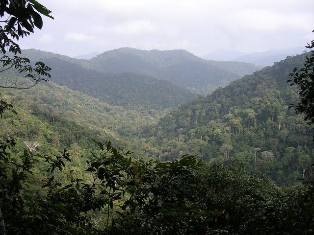 Monte Alen in Equatorial Guinea